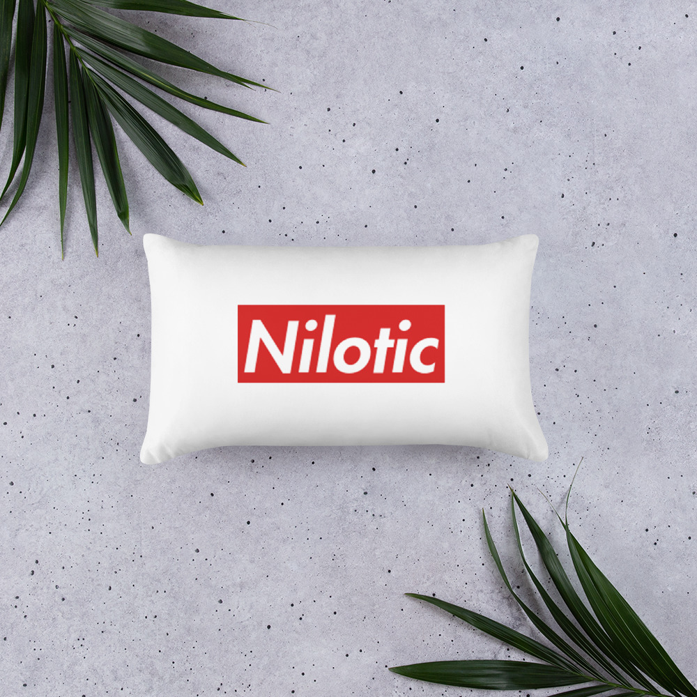 Nilotic Culture